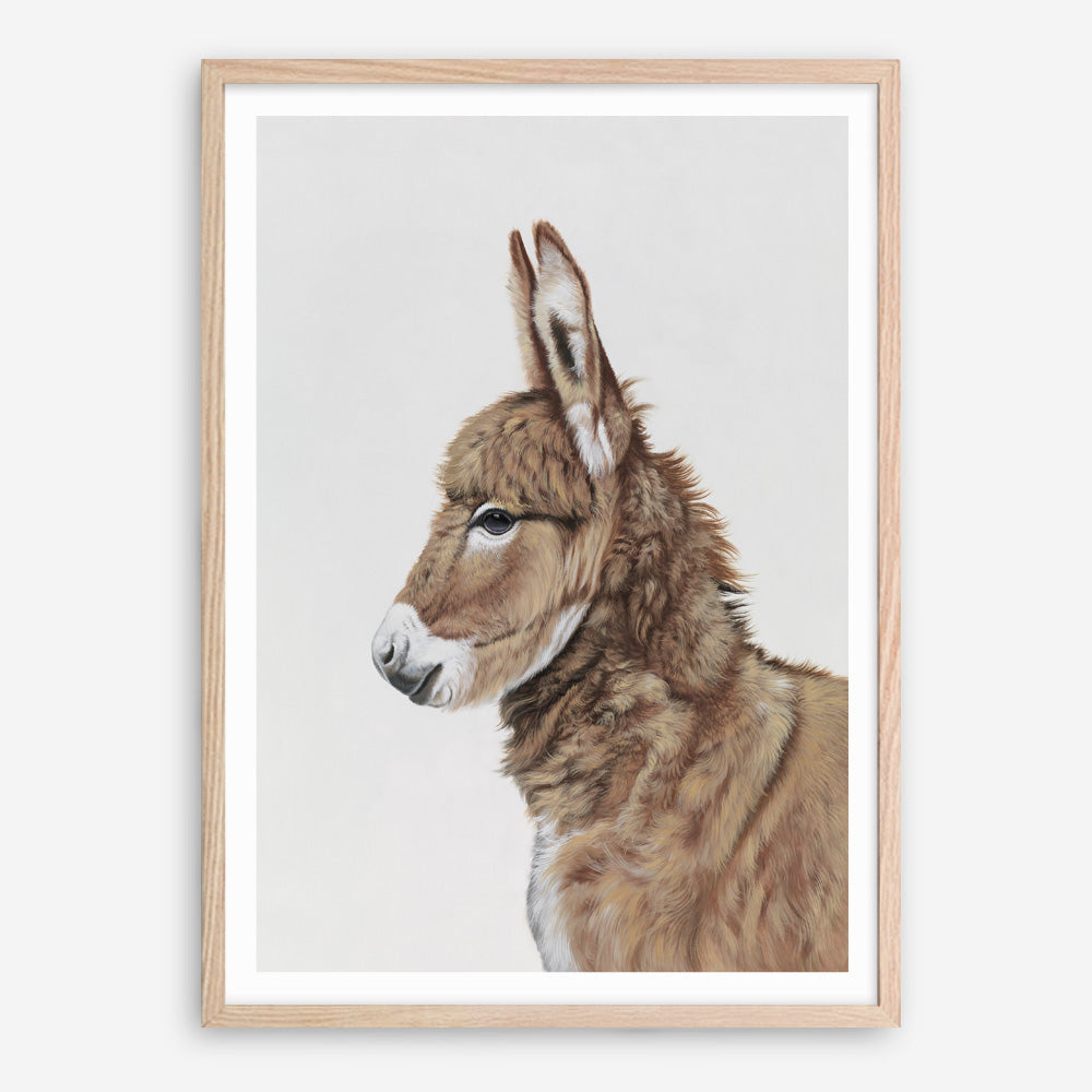 Shop Baby Donkey Art Print a painted adorable baby nursery animal themed wall art print from The Print Emporium wall artwork collection - Buy Australian made fine art painting style poster and framed prints for the home and your interior decor room, TPE-258-AP