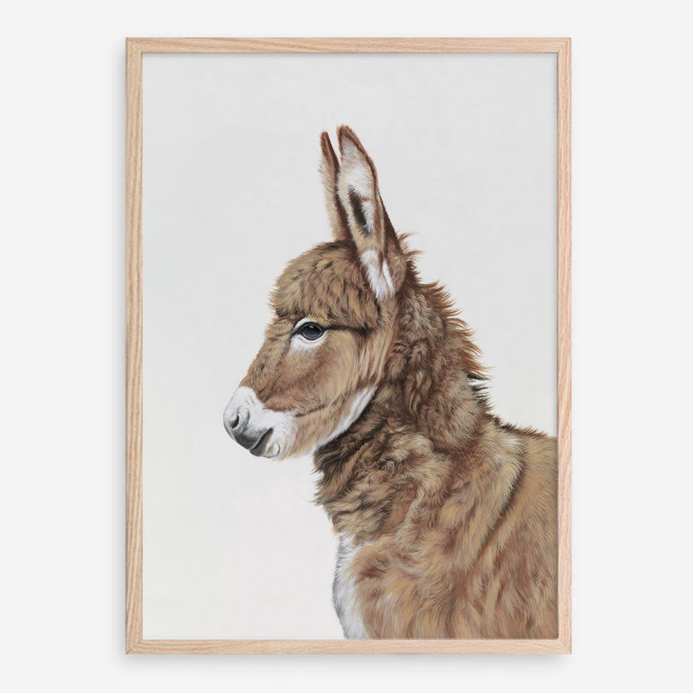 Shop Baby Donkey Art Print a painted adorable baby nursery animal themed wall art print from The Print Emporium wall artwork collection - Buy Australian made fine art painting style poster and framed prints for the home and your interior decor room, TPE-258-AP