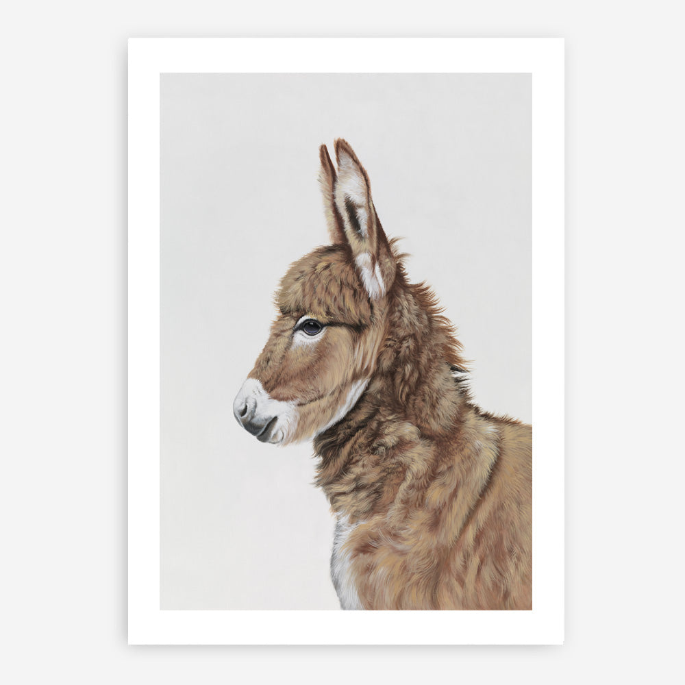 Shop Baby Donkey Art Print a painted adorable baby nursery animal themed wall art print from The Print Emporium wall artwork collection - Buy Australian made fine art painting style poster and framed prints for the home and your interior decor room, TPE-258-AP