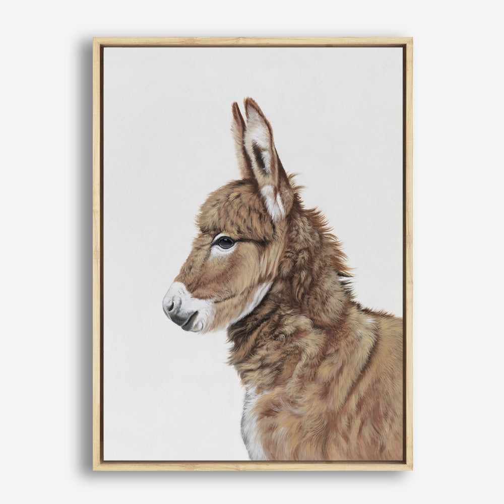 Shop Baby Donkey Canvas Print a painted adorable baby nursery room animal themed framed canvas wall art print from The Print Emporium artwork collection - Buy Australian made fine art painting style stretched canvas prints for the home and your interior decor space, TPE-258-CA-35X46-NF