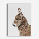 Shop Baby Donkey Canvas Print a painted adorable baby nursery room animal themed framed canvas wall art print from The Print Emporium artwork collection - Buy Australian made fine art painting style stretched canvas prints for the home and your interior decor space, TPE-258-CA-35X46-NF