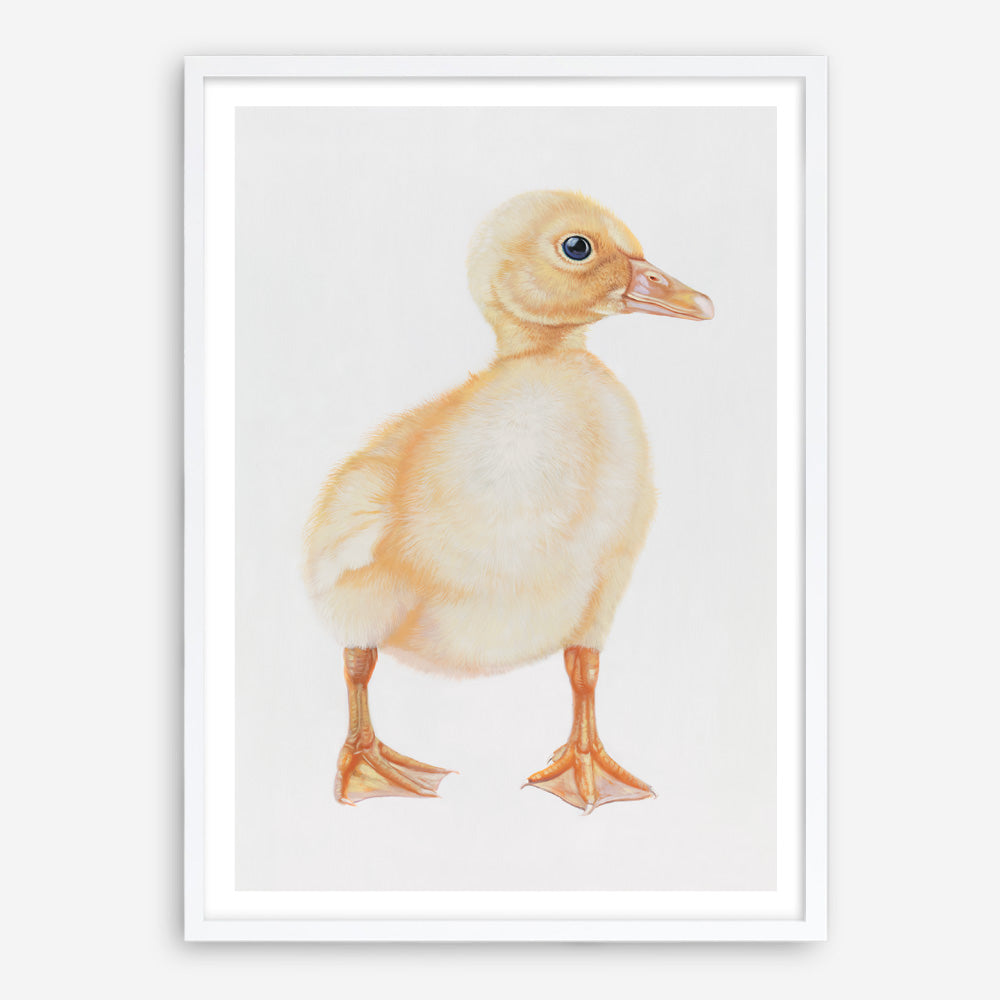 Shop Baby Duckling Art Print a painted adorable baby nursery animal themed wall art print from The Print Emporium wall artwork collection - Buy Australian made fine art painting style poster and framed prints for the home and your interior decor room, TPE-254-AP