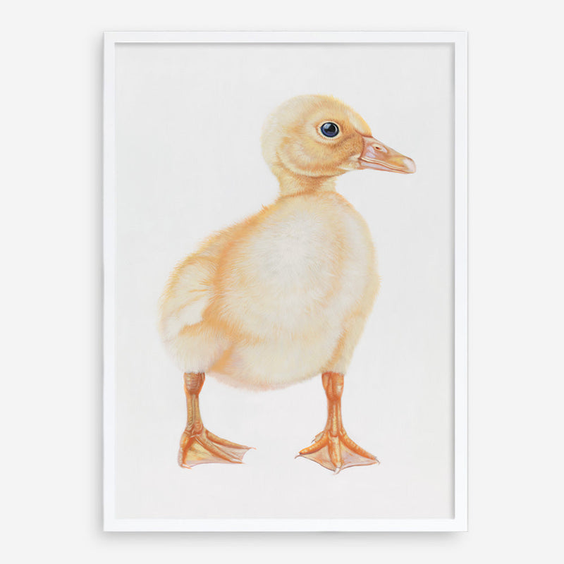 Shop Baby Duckling Art Print a painted adorable baby nursery animal themed wall art print from The Print Emporium wall artwork collection - Buy Australian made fine art painting style poster and framed prints for the home and your interior decor room, TPE-254-AP