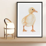 Shop Baby Duckling Art Print a painted adorable baby nursery animal themed wall art print from The Print Emporium wall artwork collection - Buy Australian made fine art painting style poster and framed prints for the home and your interior decor room, TPE-254-AP