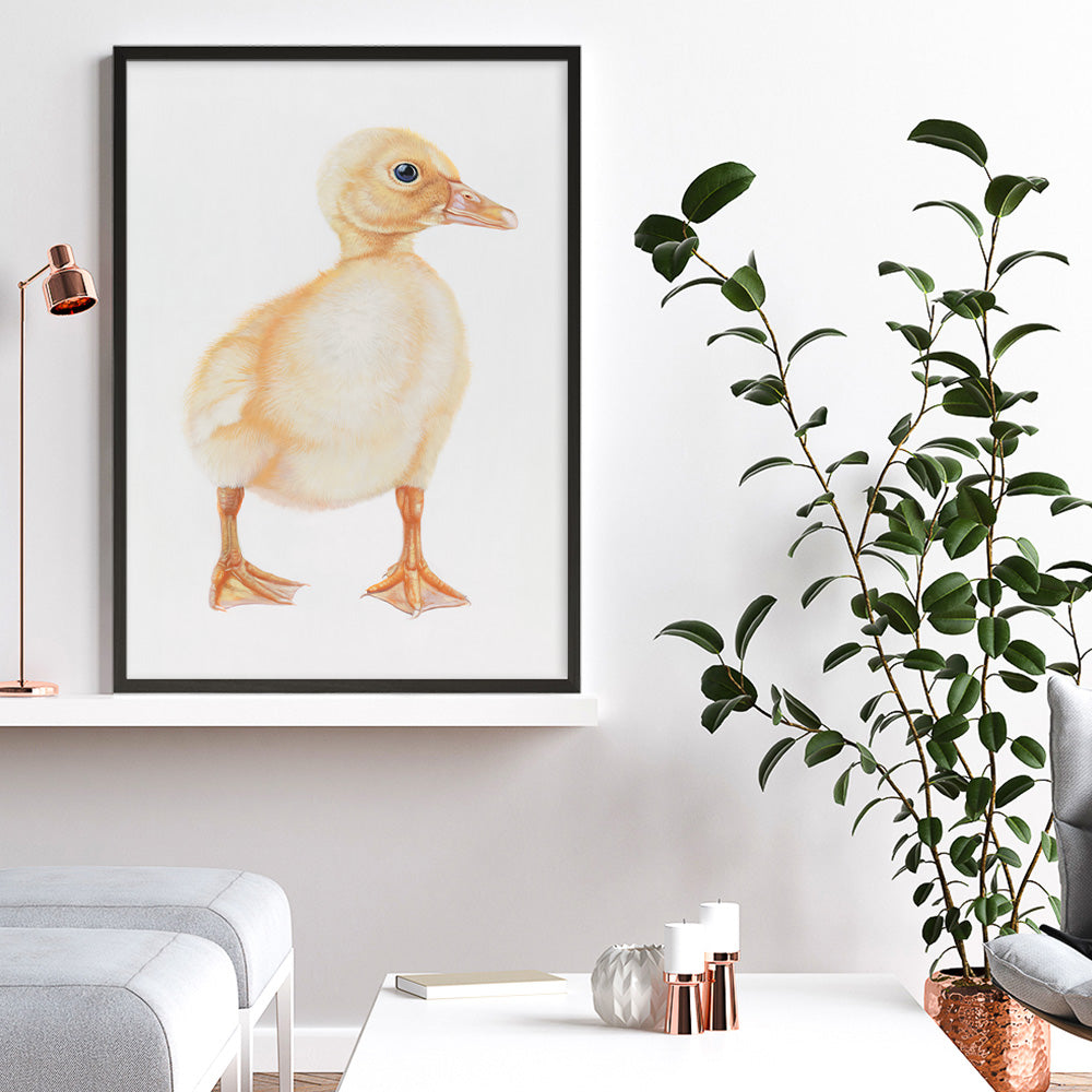 Shop Baby Duckling Art Print a painted adorable baby nursery animal themed wall art print from The Print Emporium wall artwork collection - Buy Australian made fine art painting style poster and framed prints for the home and your interior decor room, TPE-254-AP