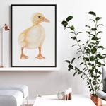 Shop Baby Duckling Art Print a painted adorable baby nursery animal themed wall art print from The Print Emporium wall artwork collection - Buy Australian made fine art painting style poster and framed prints for the home and your interior decor room, TPE-254-AP