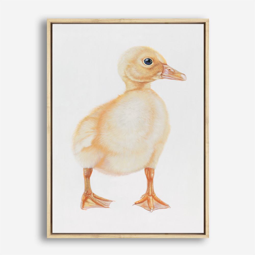 Shop Baby Duckling Canvas Print a painted adorable baby nursery room animal themed framed canvas wall art print from The Print Emporium artwork collection - Buy Australian made fine art painting style stretched canvas prints for the home and your interior decor space, TPE-254-CA-35X46-NF