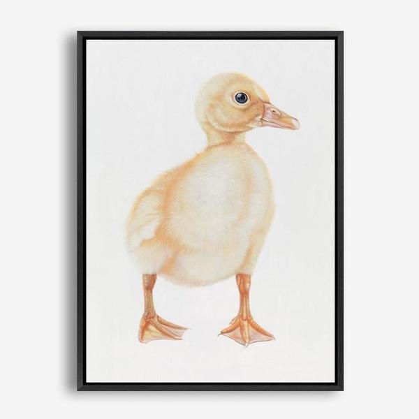 Shop Baby Duckling Canvas Print a painted adorable baby nursery room animal themed framed canvas wall art print from The Print Emporium artwork collection - Buy Australian made fine art painting style stretched canvas prints for the home and your interior decor space, TPE-254-CA-35X46-NF