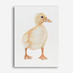 Shop Baby Duckling Canvas Print a painted adorable baby nursery room animal themed framed canvas wall art print from The Print Emporium artwork collection - Buy Australian made fine art painting style stretched canvas prints for the home and your interior decor space, TPE-254-CA-35X46-NF