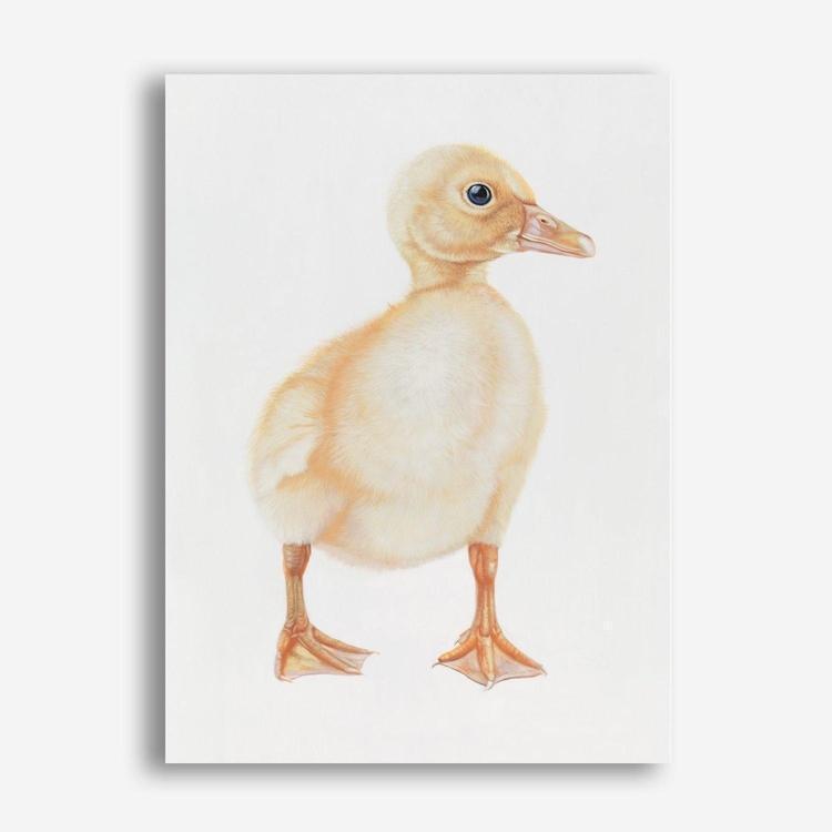 Shop Baby Duckling Canvas Print a painted adorable baby nursery room animal themed framed canvas wall art print from The Print Emporium artwork collection - Buy Australian made fine art painting style stretched canvas prints for the home and your interior decor space, TPE-254-CA-35X46-NF