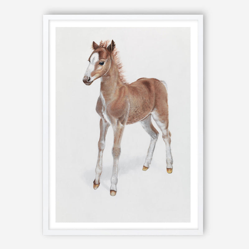 Shop Baby Foal Art Print a painted adorable baby nursery animal themed wall art print from The Print Emporium wall artwork collection - Buy Australian made fine art painting style poster and framed prints for the home and your interior decor room, TPE-287-AP