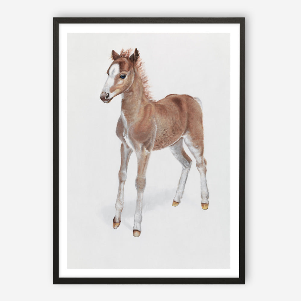Shop Baby Foal Art Print a painted adorable baby nursery animal themed wall art print from The Print Emporium wall artwork collection - Buy Australian made fine art painting style poster and framed prints for the home and your interior decor room, TPE-287-AP