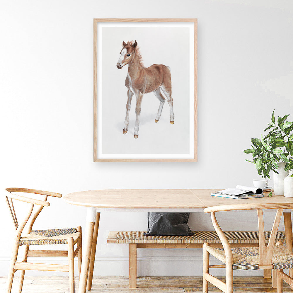 Shop Baby Foal Art Print a painted adorable baby nursery animal themed wall art print from The Print Emporium wall artwork collection - Buy Australian made fine art painting style poster and framed prints for the home and your interior decor room, TPE-287-AP