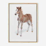 Shop Baby Foal Canvas Print a painted adorable baby nursery room animal themed framed canvas wall art print from The Print Emporium artwork collection - Buy Australian made fine art painting style stretched canvas prints for the home and your interior decor space, TPE-287-CA-35X46-NF