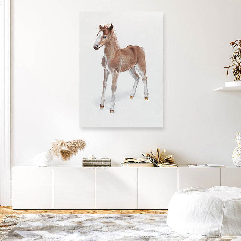 Shop Baby Foal Canvas Print a painted adorable baby nursery room animal themed framed canvas wall art print from The Print Emporium artwork collection - Buy Australian made fine art painting style stretched canvas prints for the home and your interior decor space, TPE-287-CA-35X46-NF
