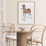 Shop Baby Foal Canvas Print a painted adorable baby nursery room animal themed framed canvas wall art print from The Print Emporium artwork collection - Buy Australian made fine art painting style stretched canvas prints for the home and your interior decor space, TPE-287-CA-35X46-NF