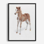 Shop Baby Foal Canvas Print a painted adorable baby nursery room animal themed framed canvas wall art print from The Print Emporium artwork collection - Buy Australian made fine art painting style stretched canvas prints for the home and your interior decor space, TPE-287-CA-35X46-NF