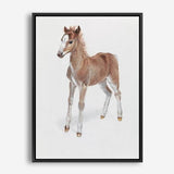 Shop Baby Foal Canvas Print a painted adorable baby nursery room animal themed framed canvas wall art print from The Print Emporium artwork collection - Buy Australian made fine art painting style stretched canvas prints for the home and your interior decor space, TPE-287-CA-35X46-NF