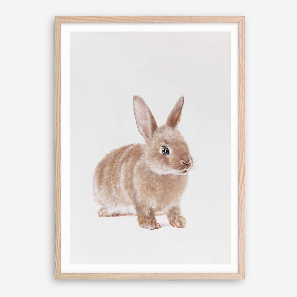 Shop Baby Rabbit Art Print a painted adorable baby nursery animal themed wall art print from The Print Emporium wall artwork collection - Buy Australian made fine art painting style poster and framed prints for the home and your interior decor room, TPE-201-AP