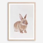Shop Baby Rabbit Art Print a painted adorable baby nursery animal themed wall art print from The Print Emporium wall artwork collection - Buy Australian made fine art painting style poster and framed prints for the home and your interior decor room, TPE-201-AP