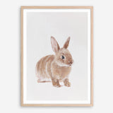 Shop Baby Rabbit Art Print a painted adorable baby nursery animal themed wall art print from The Print Emporium wall artwork collection - Buy Australian made fine art painting style poster and framed prints for the home and your interior decor room, TPE-201-AP