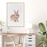 Shop Baby Rabbit Art Print a painted adorable baby nursery animal themed wall art print from The Print Emporium wall artwork collection - Buy Australian made fine art painting style poster and framed prints for the home and your interior decor room, TPE-201-AP