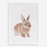 Shop Baby Rabbit Art Print a painted adorable baby nursery animal themed wall art print from The Print Emporium wall artwork collection - Buy Australian made fine art painting style poster and framed prints for the home and your interior decor room, TPE-201-AP