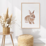 Shop Baby Rabbit Art Print a painted adorable baby nursery animal themed wall art print from The Print Emporium wall artwork collection - Buy Australian made fine art painting style poster and framed prints for the home and your interior decor room, TPE-201-AP