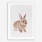 Shop Baby Rabbit Art Print a painted adorable baby nursery animal themed wall art print from The Print Emporium wall artwork collection - Buy Australian made fine art painting style poster and framed prints for the home and your interior decor room, TPE-201-AP