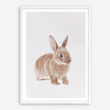 Shop Baby Rabbit Art Print a painted adorable baby nursery animal themed wall art print from The Print Emporium wall artwork collection - Buy Australian made fine art painting style poster and framed prints for the home and your interior decor room, TPE-201-AP