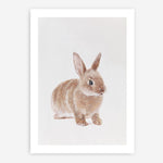 Shop Baby Rabbit Art Print a painted adorable baby nursery animal themed wall art print from The Print Emporium wall artwork collection - Buy Australian made fine art painting style poster and framed prints for the home and your interior decor room, TPE-201-AP