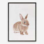 Shop Baby Rabbit Art Print a painted adorable baby nursery animal themed wall art print from The Print Emporium wall artwork collection - Buy Australian made fine art painting style poster and framed prints for the home and your interior decor room, TPE-201-AP