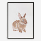 Shop Baby Rabbit Art Print a painted adorable baby nursery animal themed wall art print from The Print Emporium wall artwork collection - Buy Australian made fine art painting style poster and framed prints for the home and your interior decor room, TPE-201-AP
