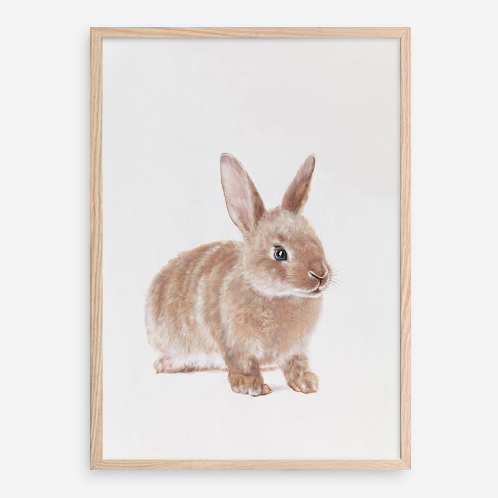 Shop Baby Rabbit Art Print a painted adorable baby nursery animal themed wall art print from The Print Emporium wall artwork collection - Buy Australian made fine art painting style poster and framed prints for the home and your interior decor room, TPE-201-AP