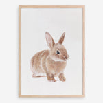 Shop Baby Rabbit Art Print a painted adorable baby nursery animal themed wall art print from The Print Emporium wall artwork collection - Buy Australian made fine art painting style poster and framed prints for the home and your interior decor room, TPE-201-AP