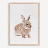 Shop Baby Rabbit Art Print a painted adorable baby nursery animal themed wall art print from The Print Emporium wall artwork collection - Buy Australian made fine art painting style poster and framed prints for the home and your interior decor room, TPE-201-AP