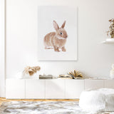 Shop Baby Rabbit Canvas Print a painted adorable baby nursery room animal themed framed canvas wall art print from The Print Emporium artwork collection - Buy Australian made fine art painting style stretched canvas prints for the home and your interior decor space, TPE-201-CA-35X46-NF