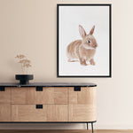 Shop Baby Rabbit Canvas Print a painted adorable baby nursery room animal themed framed canvas wall art print from The Print Emporium artwork collection - Buy Australian made fine art painting style stretched canvas prints for the home and your interior decor space, TPE-201-CA-35X46-NF