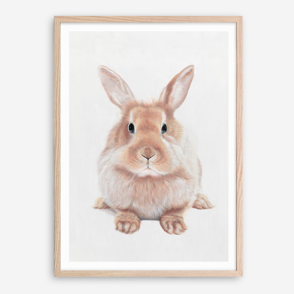 Shop Baby Rabbit II Art Print a painted adorable baby nursery animal themed wall art print from The Print Emporium wall artwork collection - Buy Australian made fine art painting style poster and framed prints for the home and your interior decor room, TPE-215-AP