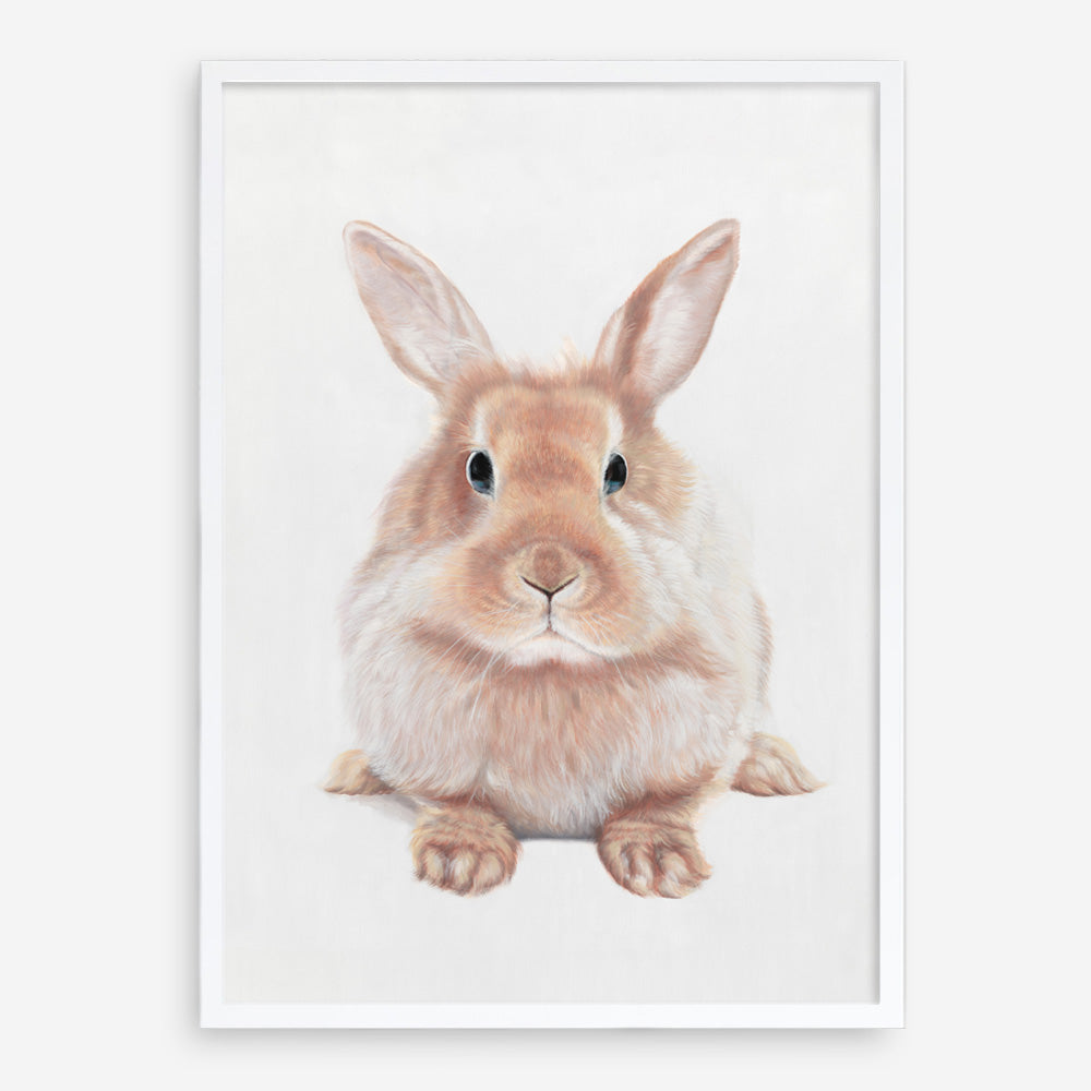 Shop Baby Rabbit II Art Print a painted adorable baby nursery animal themed wall art print from The Print Emporium wall artwork collection - Buy Australian made fine art painting style poster and framed prints for the home and your interior decor room, TPE-215-AP