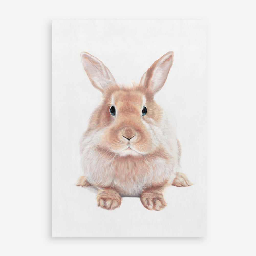 Shop Baby Rabbit II Art Print a painted adorable baby nursery animal themed wall art print from The Print Emporium wall artwork collection - Buy Australian made fine art painting style poster and framed prints for the home and your interior decor room, TPE-215-AP