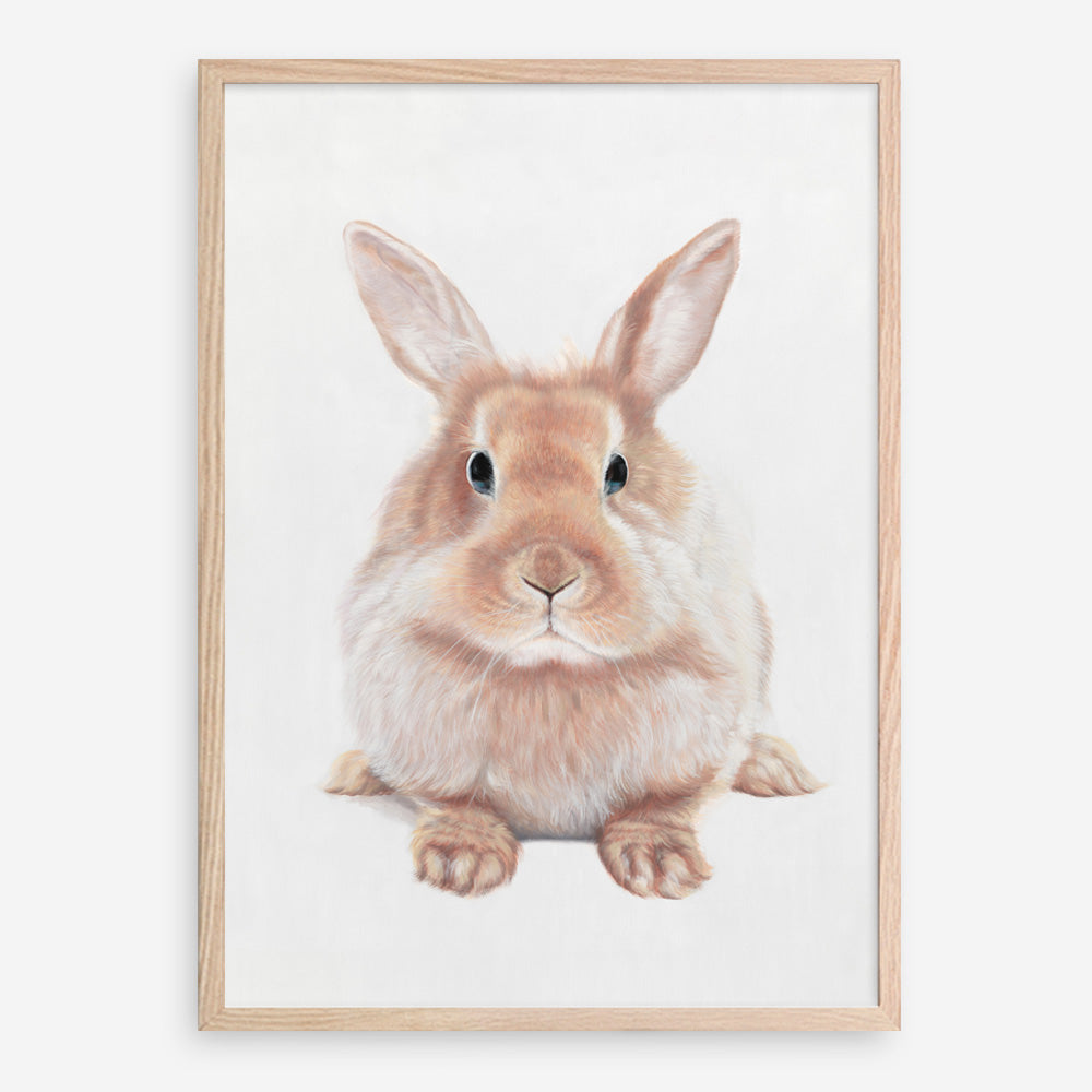 Shop Baby Rabbit II Art Print a painted adorable baby nursery animal themed wall art print from The Print Emporium wall artwork collection - Buy Australian made fine art painting style poster and framed prints for the home and your interior decor room, TPE-215-AP