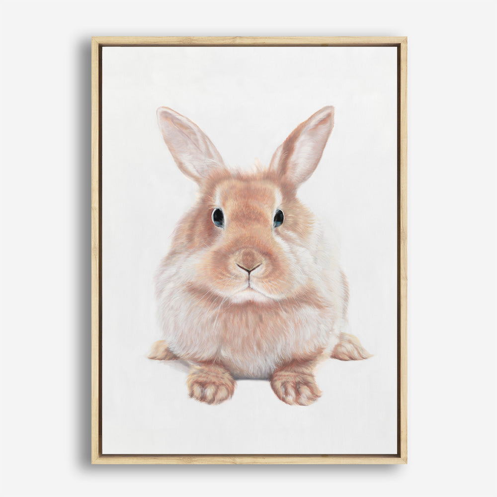 Shop Baby Rabbit II Canvas Print a painted adorable baby nursery room animal themed framed canvas wall art print from The Print Emporium artwork collection - Buy Australian made fine art painting style stretched canvas prints for the home and your interior decor space, TPE-215-CA-35X46-NF