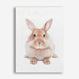 Shop Baby Rabbit II Canvas Print a painted adorable baby nursery room animal themed framed canvas wall art print from The Print Emporium artwork collection - Buy Australian made fine art painting style stretched canvas prints for the home and your interior decor space, TPE-215-CA-35X46-NF