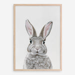 Shop Baby Rabbit III Art Print a painted adorable baby nursery animal themed wall art print from The Print Emporium wall artwork collection - Buy Australian made fine art painting style poster and framed prints for the home and your interior decor room, TPE-256-AP