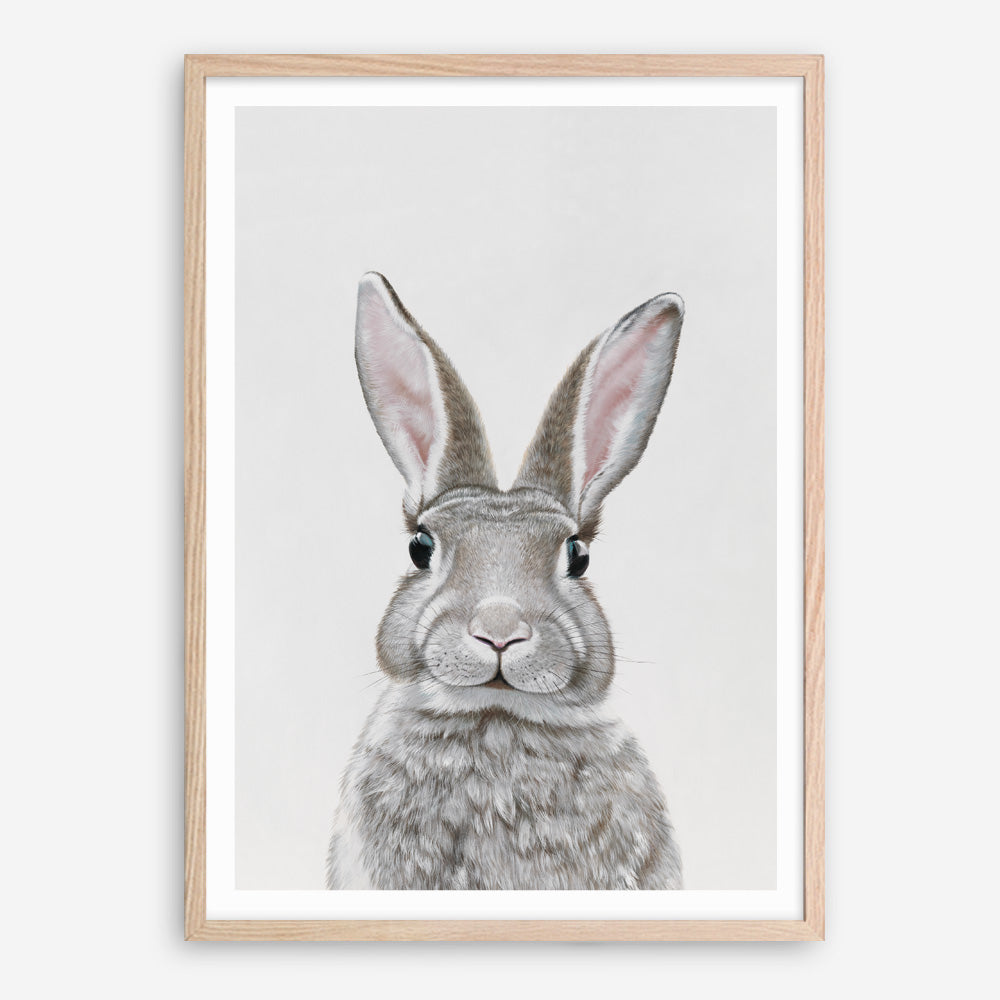 Shop Baby Rabbit III Art Print a painted adorable baby nursery animal themed wall art print from The Print Emporium wall artwork collection - Buy Australian made fine art painting style poster and framed prints for the home and your interior decor room, TPE-256-AP
