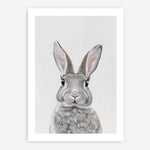 Shop Baby Rabbit III Art Print a painted adorable baby nursery animal themed wall art print from The Print Emporium wall artwork collection - Buy Australian made fine art painting style poster and framed prints for the home and your interior decor room, TPE-256-AP