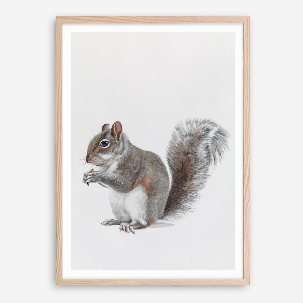 Shop Baby Squirrel Art Print a painted adorable baby nursery animal themed wall art print from The Print Emporium wall artwork collection - Buy Australian made fine art painting style poster and framed prints for the home and your interior decor room, TPE-255-AP