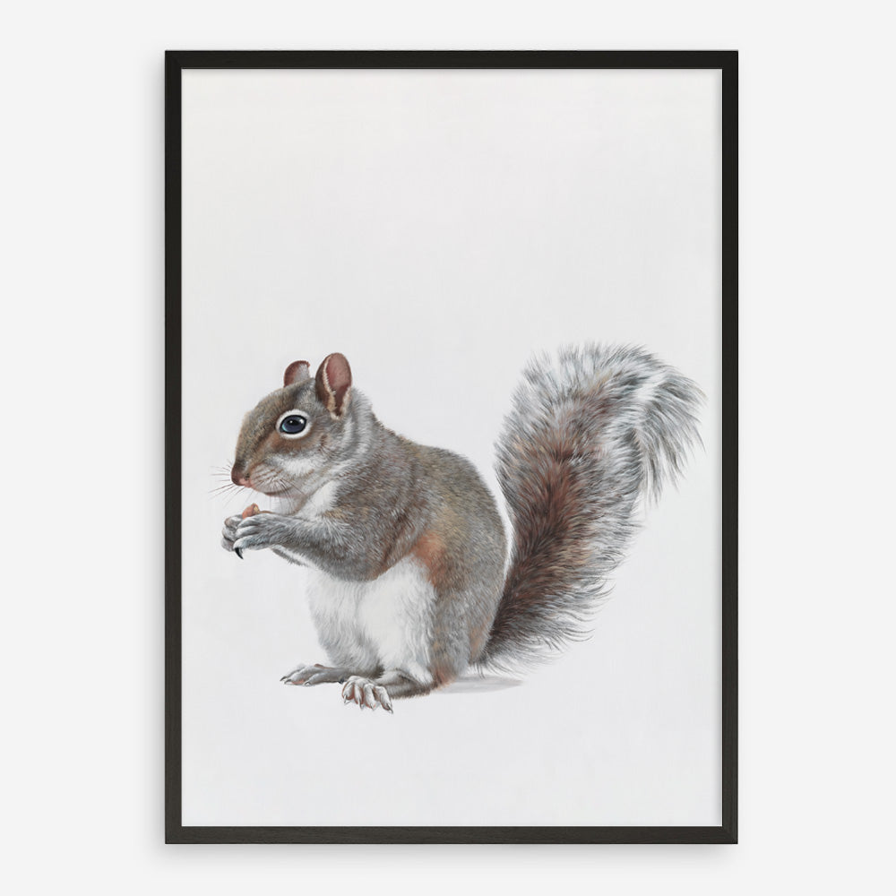Shop Baby Squirrel Art Print a painted adorable baby nursery animal themed wall art print from The Print Emporium wall artwork collection - Buy Australian made fine art painting style poster and framed prints for the home and your interior decor room, TPE-255-AP