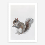 Shop Baby Squirrel Art Print a painted adorable baby nursery animal themed wall art print from The Print Emporium wall artwork collection - Buy Australian made fine art painting style poster and framed prints for the home and your interior decor room, TPE-255-AP